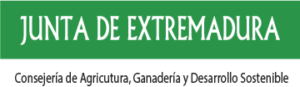 DG de Desarrollo Rural